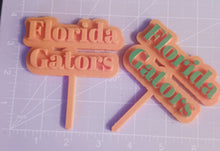 Load image into Gallery viewer, College Cake Toppers for the Die hart Fan