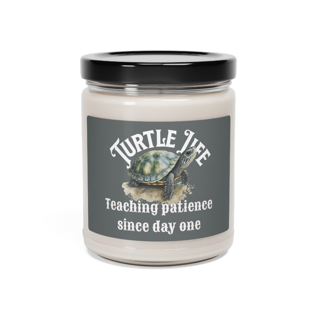 Turtle Life, Teaching patience since day one. Scented Soy Candle, 9oz