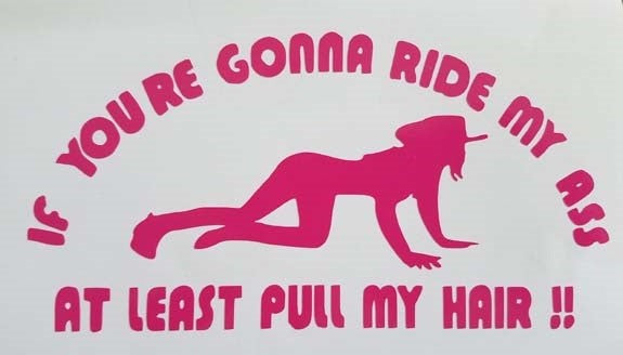 Vinyl Decal with humor Pull my Hair, Car window Decal,